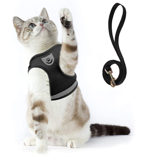 Skanto | Abenteuer-Set – Sicheres Geschirr für abenteuerlustige Katzen