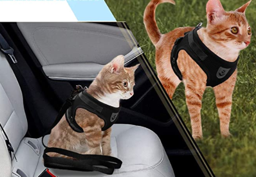 Skanto | Abenteuer-Set – Sicheres Geschirr für abenteuerlustige Katzen