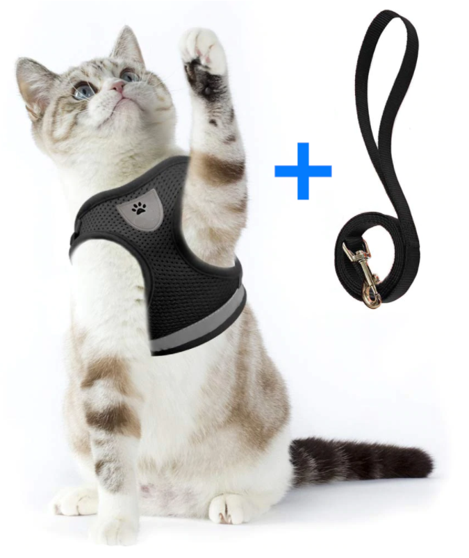 Skanto | Abenteuer-Set – Sicheres Geschirr für abenteuerlustige Katzen