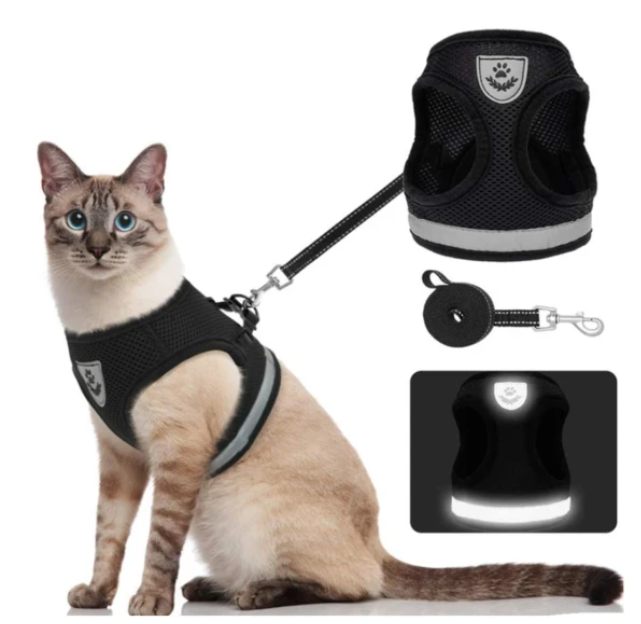 Skanto | Abenteuer-Set – Sicheres Geschirr für abenteuerlustige Katzen