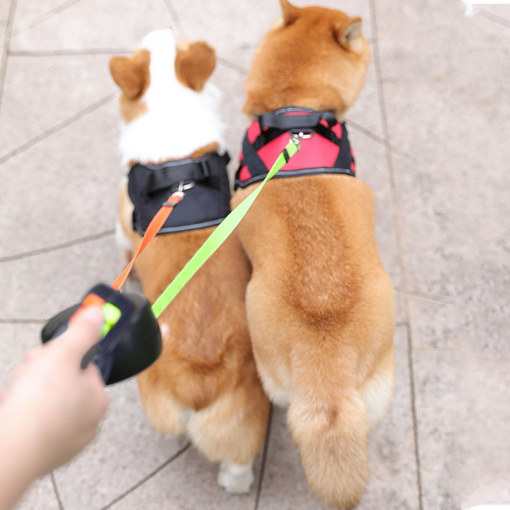 Verwicklungsfreie Doppelleine für Hunde Skanto