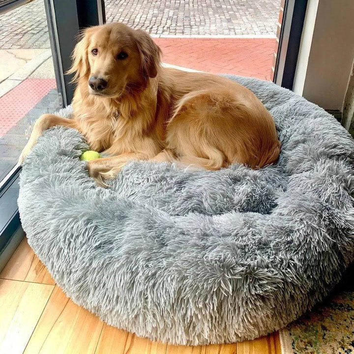 Skanto | Beruhigendes Hundebett