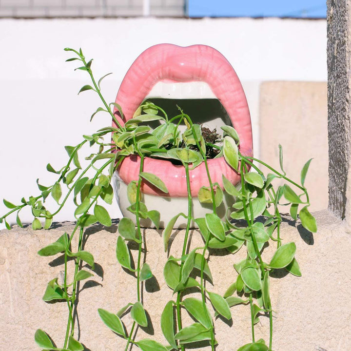 Skanto | Lippen-Blumentopf