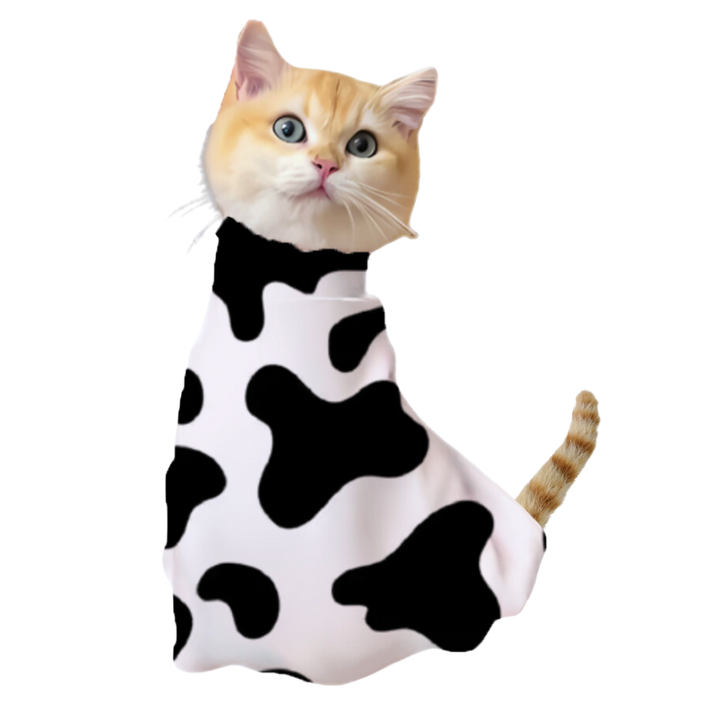 Magische selbstklebende Katzenbandage