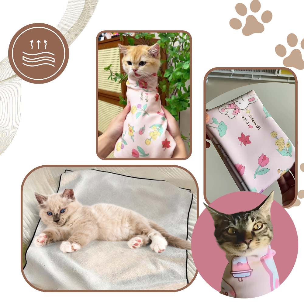 Magische selbstklebende Katzenbandage