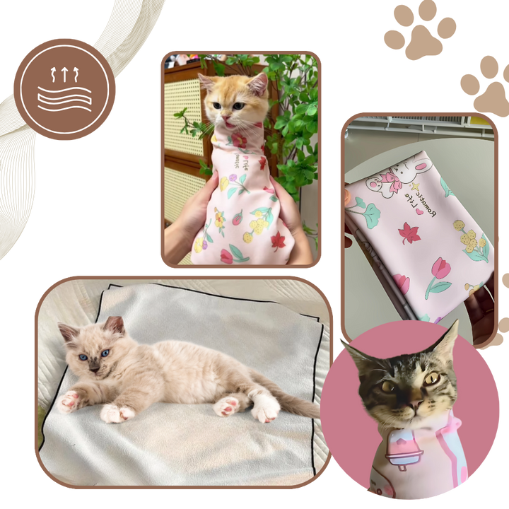 Magische selbstklebende Katzenbandage