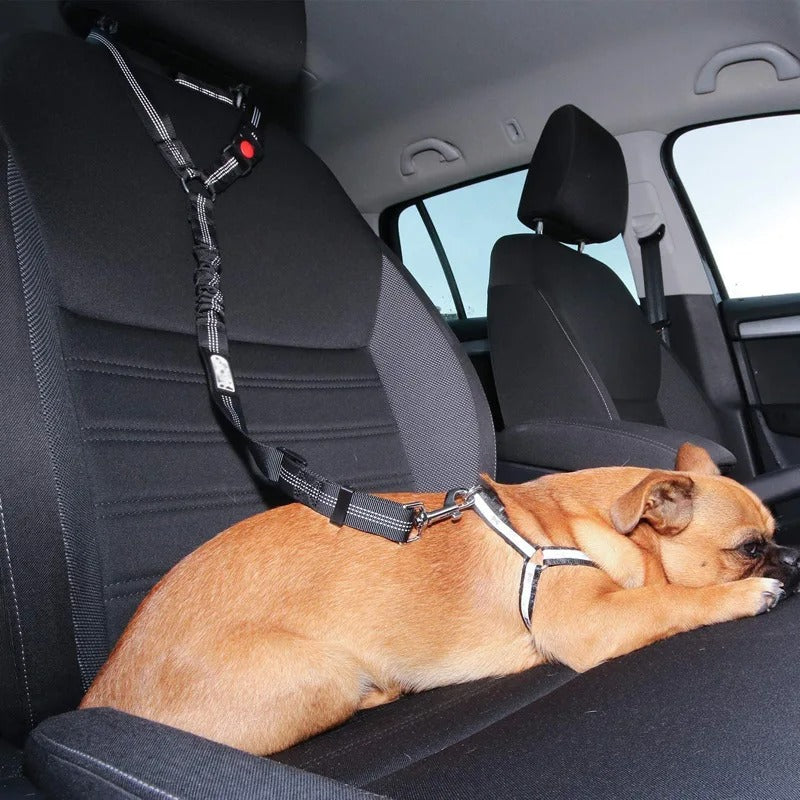 Skanto Hunde-Autosicherheitsgurt Skanto