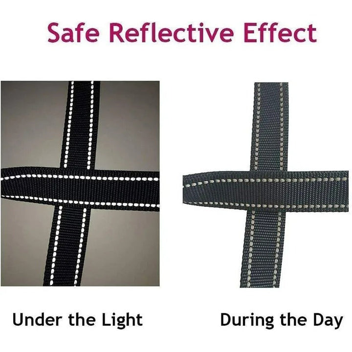 Skanto | Reflektierende Hundeleine
