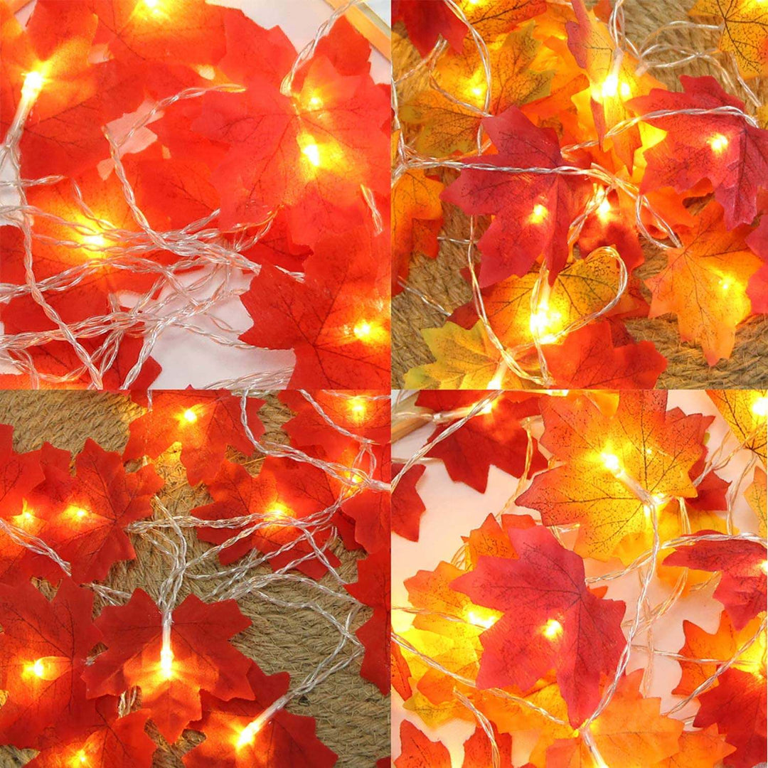 Skanto | Ahornblatt Herbst Lichterkette