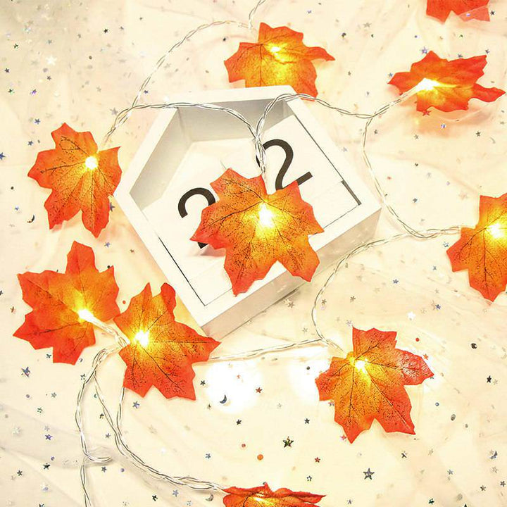 Skanto | Ahornblatt Herbst Lichterkette