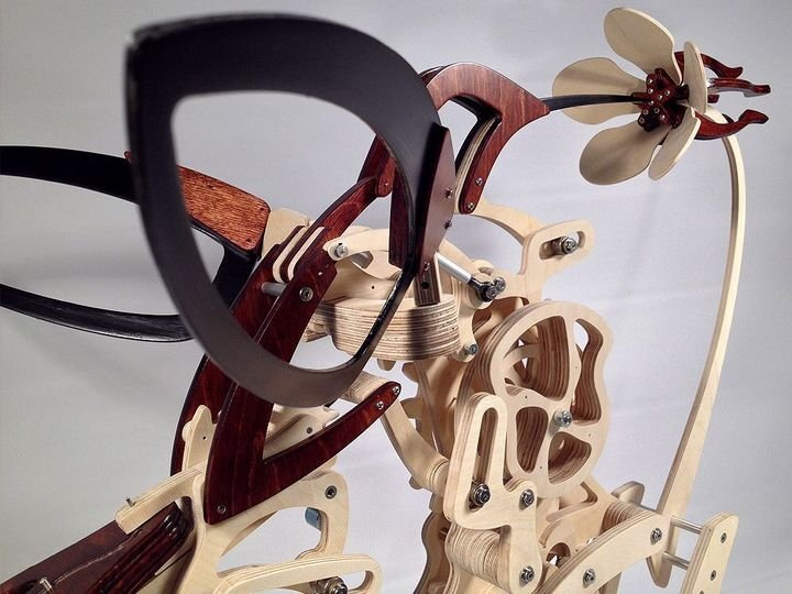 Skanto | 3D Mechanischer Kolibri und Mechanische Schildkröte aus Holz