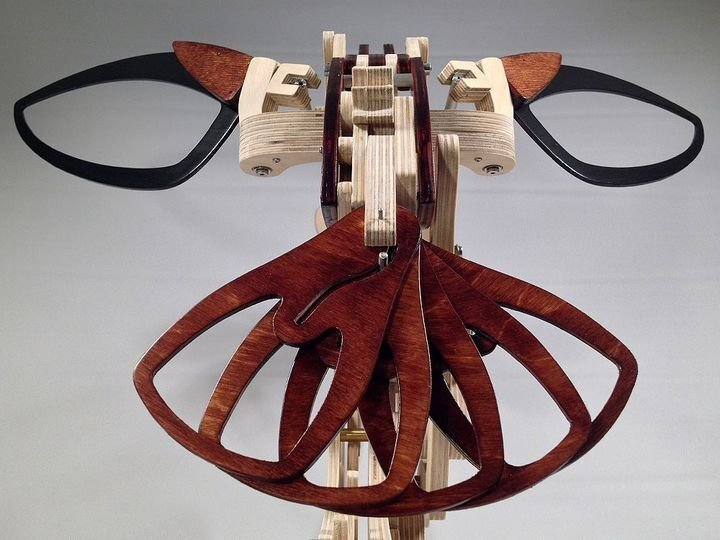 Skanto | 3D Mechanischer Kolibri und Mechanische Schildkröte aus Holz
