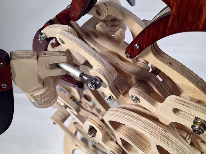 Skanto | 3D Mechanischer Kolibri und Mechanische Schildkröte aus Holz