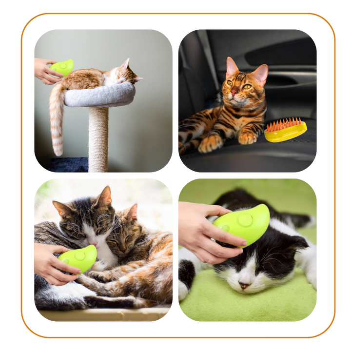 Multifunktionale Katzenbürste