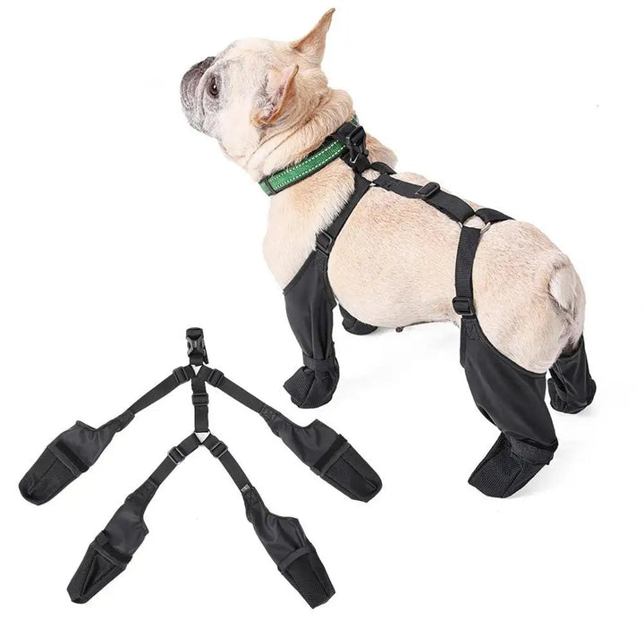 Skanto | Verstellbare Hundeschuhe