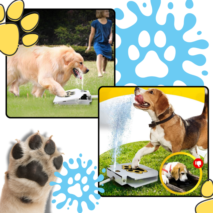 Pfotenaktivierter Trinkbrunnen für Hunde