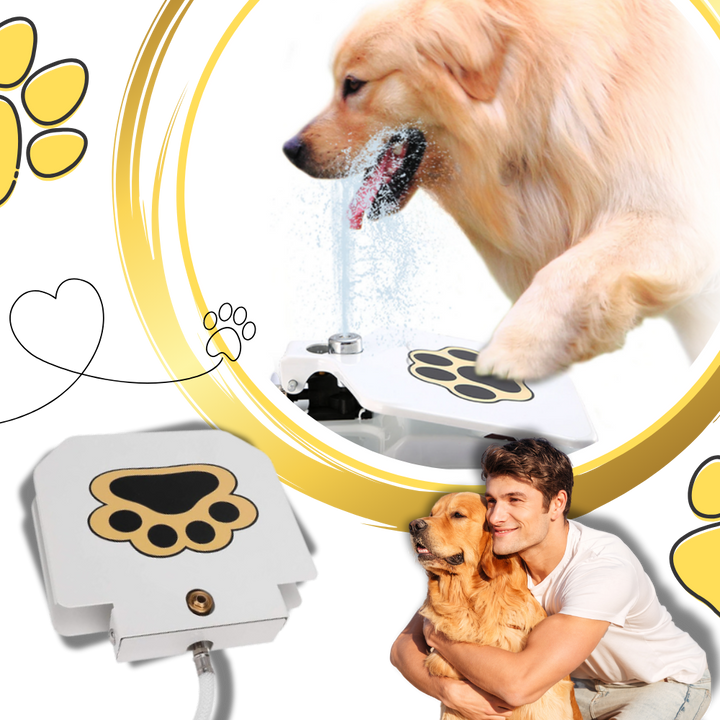 Pfotenaktivierter Trinkbrunnen für Hunde