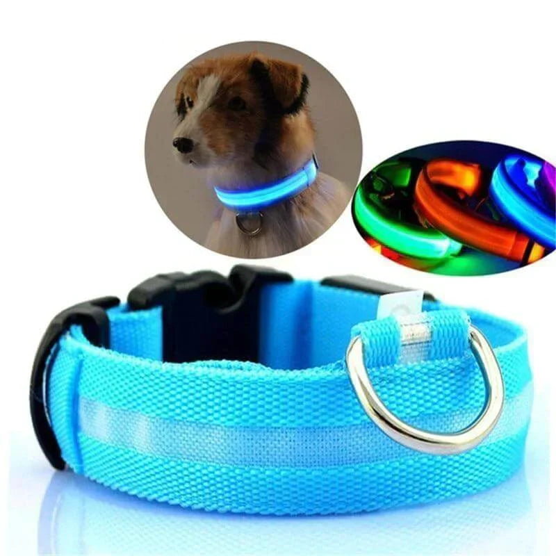 Skanto | Skanto GlowPets LED-Halsband – Haustiersicherheit & Sichtbarkeit
