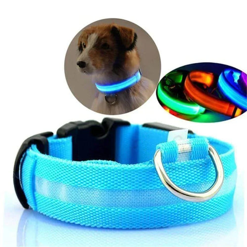 Skanto | Skanto GlowPets LED-Halsband – Haustiersicherheit & Sichtbarkeit