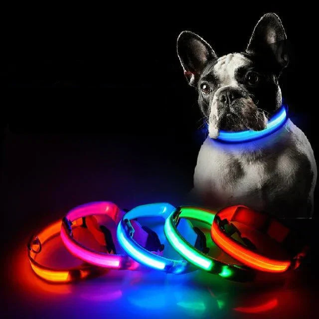 Skanto | Skanto GlowPets LED-Halsband – Haustiersicherheit & Sichtbarkeit