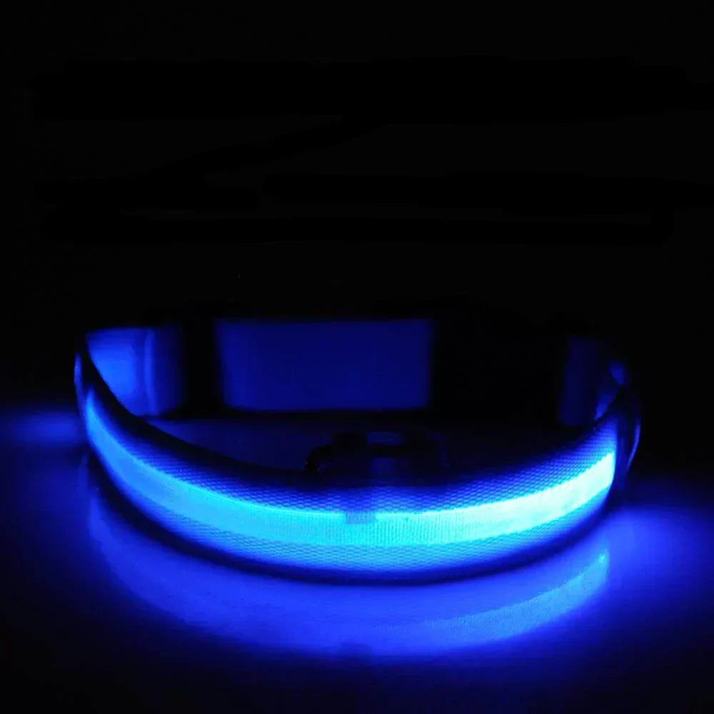 Skanto | Skanto GlowPets LED-Halsband – Haustiersicherheit & Sichtbarkeit