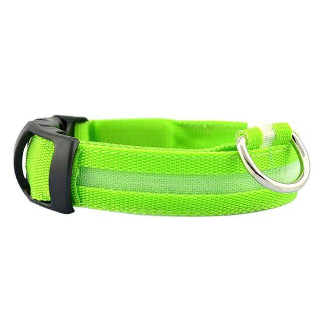 Skanto | Skanto GlowPets LED-Halsband – Haustiersicherheit & Sichtbarkeit