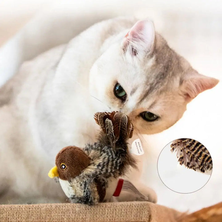 Singvogel-Spielzeug für Katzen Norvo