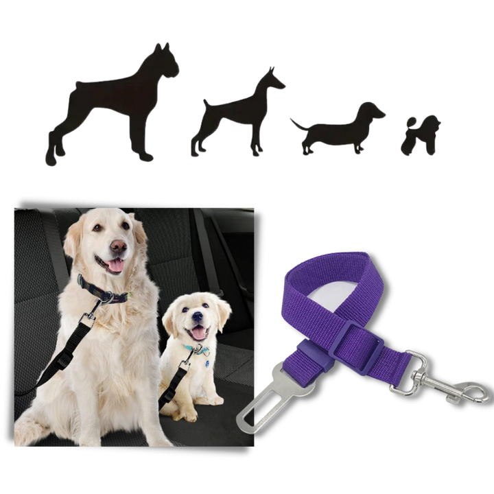 Premium Haustier- und Hunde-Sicherheitsgurt