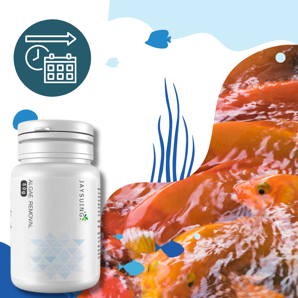 Vorbeugendes Algizid für Aquarien
