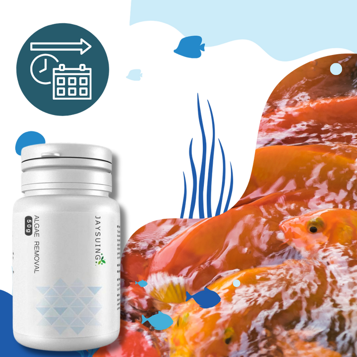 Vorbeugendes Algizid für Aquarien