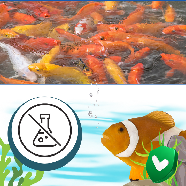 Vorbeugendes Algizid für Aquarien