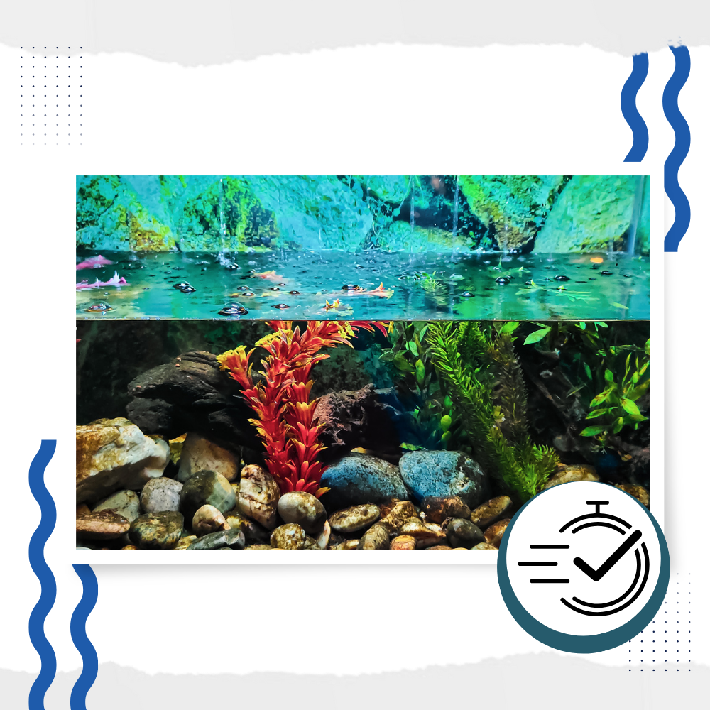 Vorbeugendes Algizid für Aquarien