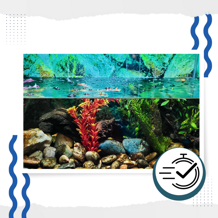 Vorbeugendes Algizid für Aquarien
