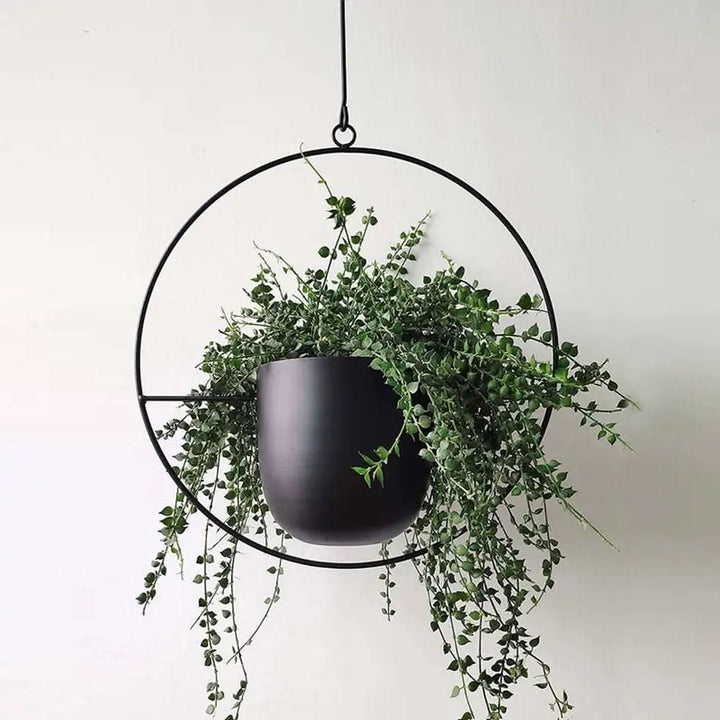 Skanto | Wandmontierter Metall-Pflanzenhalter – FloraFrame