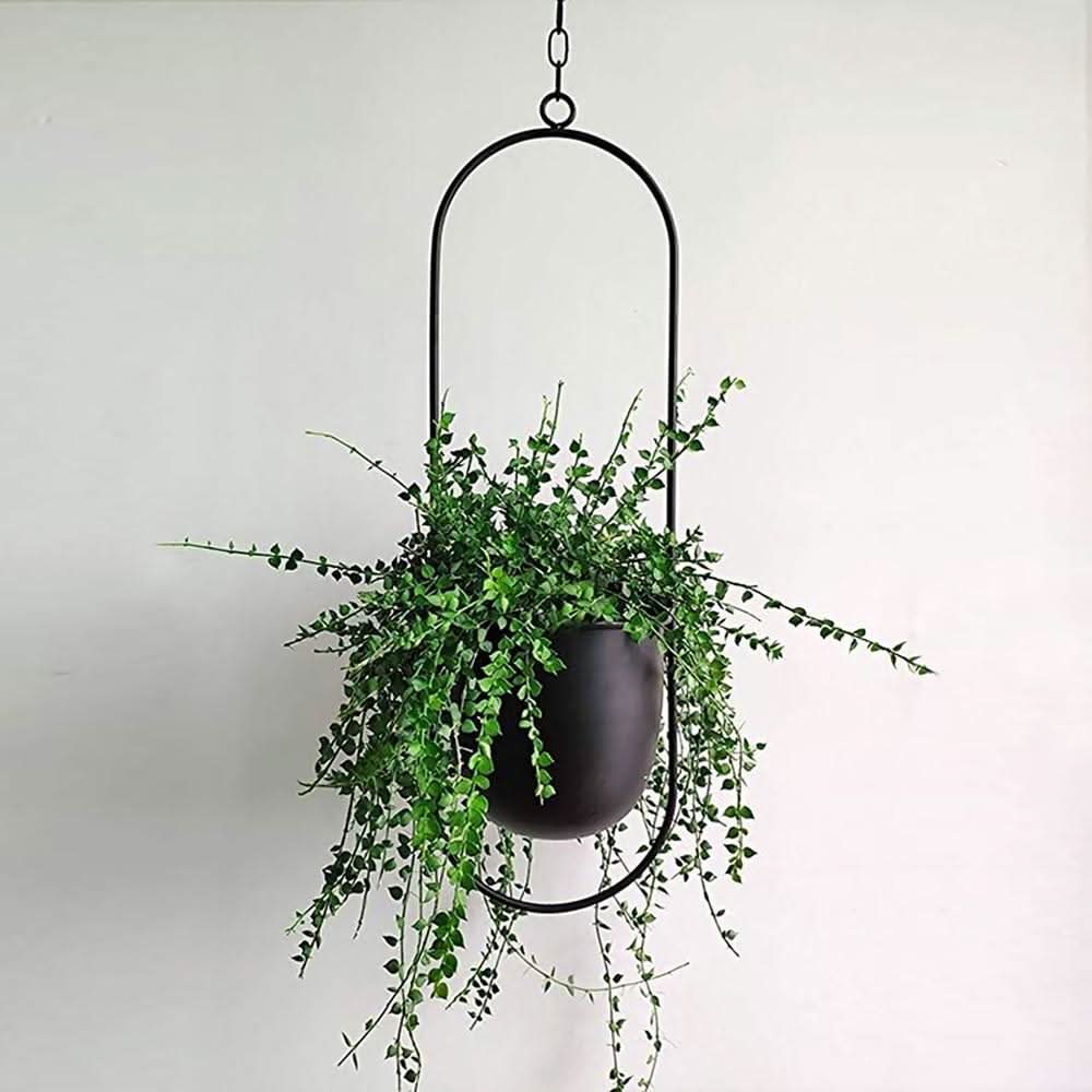 Skanto | Wandmontierter Metall-Pflanzenhalter – FloraFrame