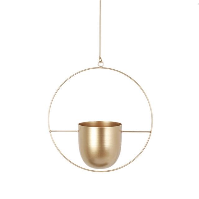 Skanto | FloraFrame – Eleganter Pflanzenhalter aus Metall für Wand oder Decke