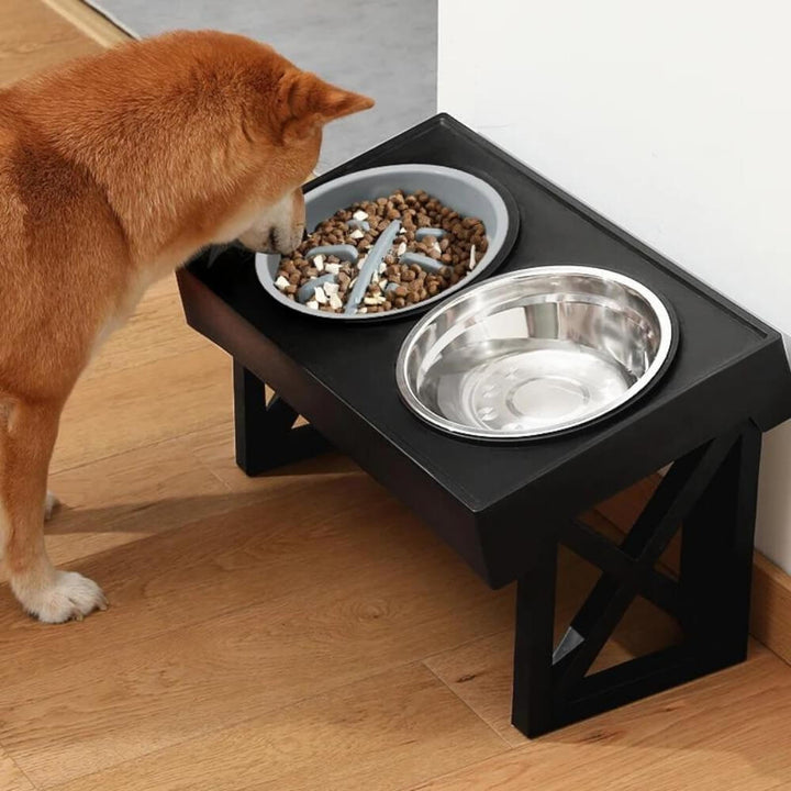 Skanto | PupLift Erhöhter Hundenapf – Ergonomisch & Slow Feeding für gesündere Mahlzeiten