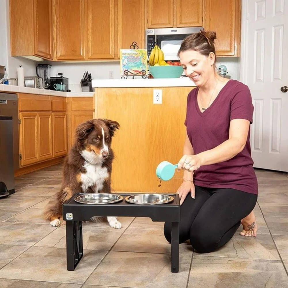 Skanto | PupLift Erhöhter Hundenapf – Ergonomisch & Slow Feeding für gesündere Mahlzeiten