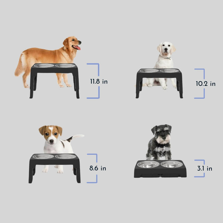 Skanto | PupLift Erhöhter Hundenapf – Ergonomisch & Slow Feeding für gesündere Mahlzeiten