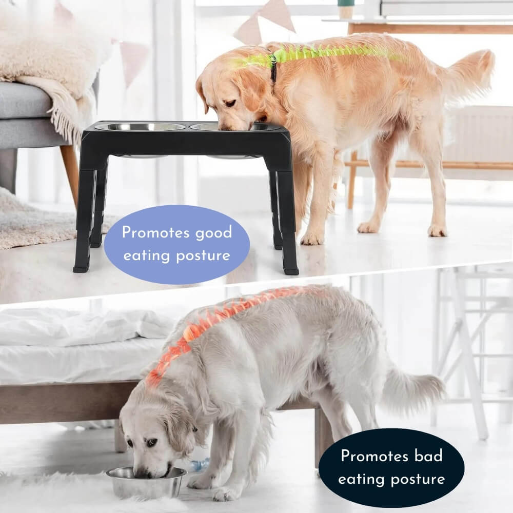 Skanto | PupLift Erhöhter Hundenapf – Ergonomisch & Slow Feeding für gesündere Mahlzeiten