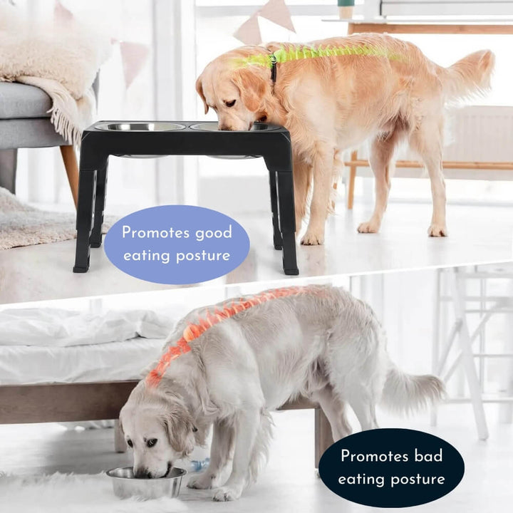 Skanto | PupLift Erhöhter Hundenapf – Ergonomisch & Slow Feeding für gesündere Mahlzeiten