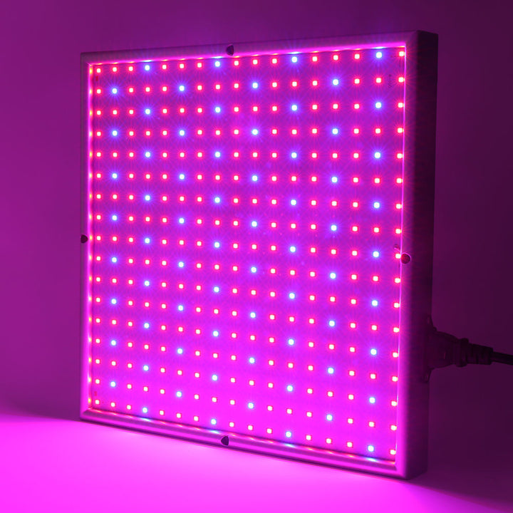Skanto | Pflanzenwachstumslampe