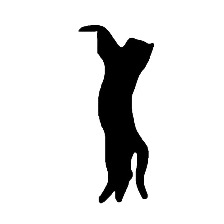 Skanto | Schwarze Katze Türecken-Schild Dekoration