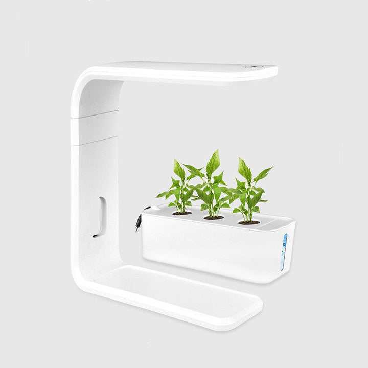 Skanto | Schlankes Hydroponik-Pflanzsystem für den Innenbereich - GreenBloom Hydro