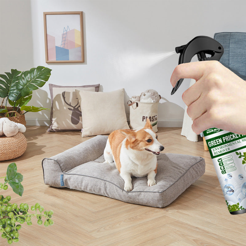 Skanto | Leistungsstarkes Milbenentferner-Spray