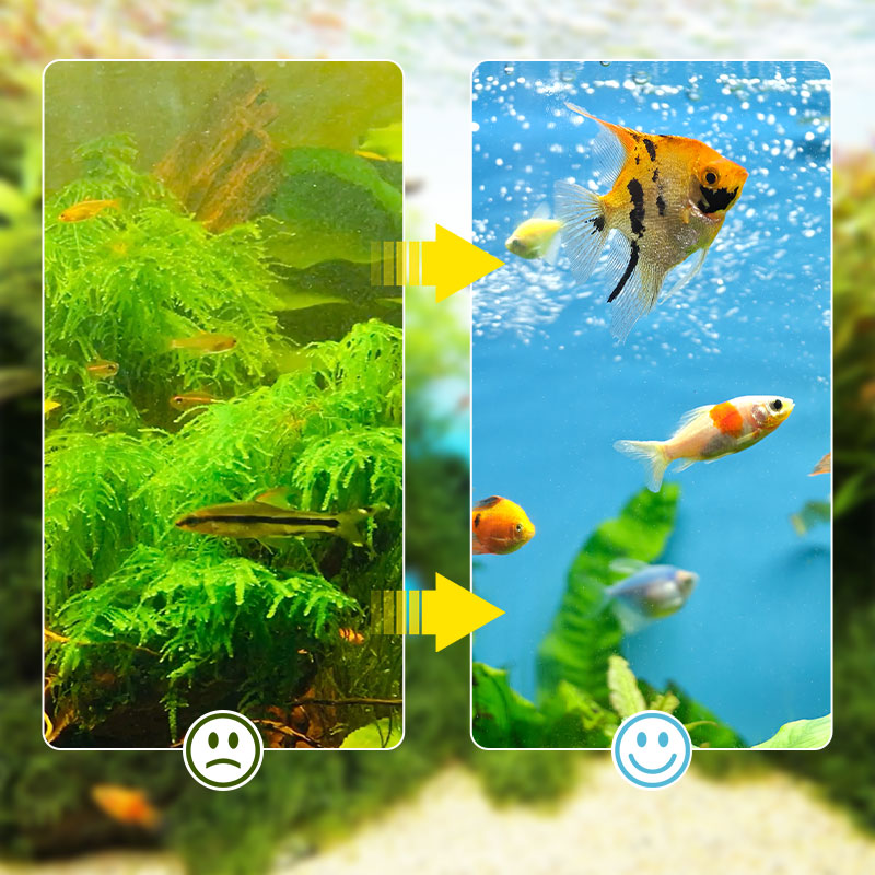 Skanto | Sandsberg 3-in-1 Aquarienfilter