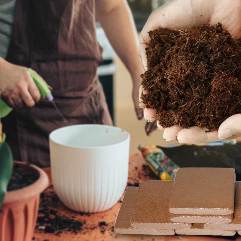 Skanto | Das beste Gartengeschenk - Bio-Kokosfaser für Pflanzen