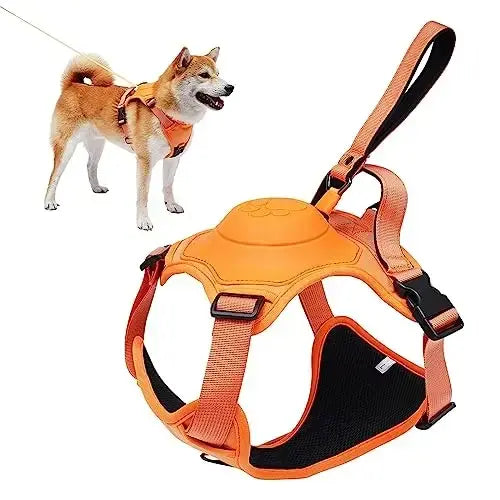 Skanto | All-in-One Hundegeschirr mit einziehbarer Leine