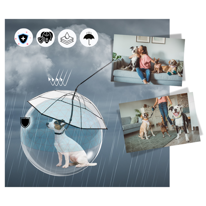 Transparente Hunde-Regenschirmleine