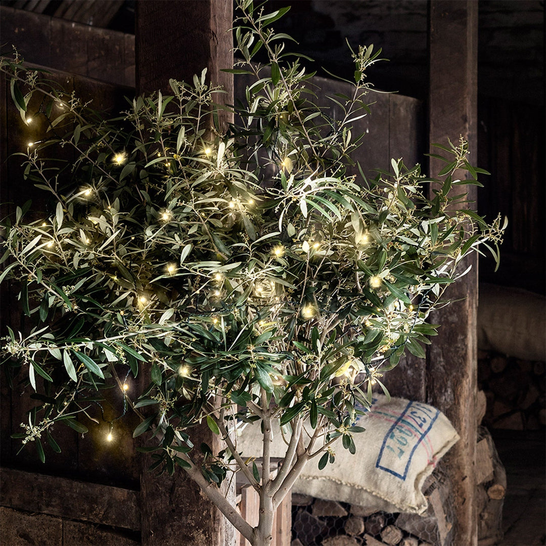 Skanto | Weihnachtsdekorationen LED Lichterketten